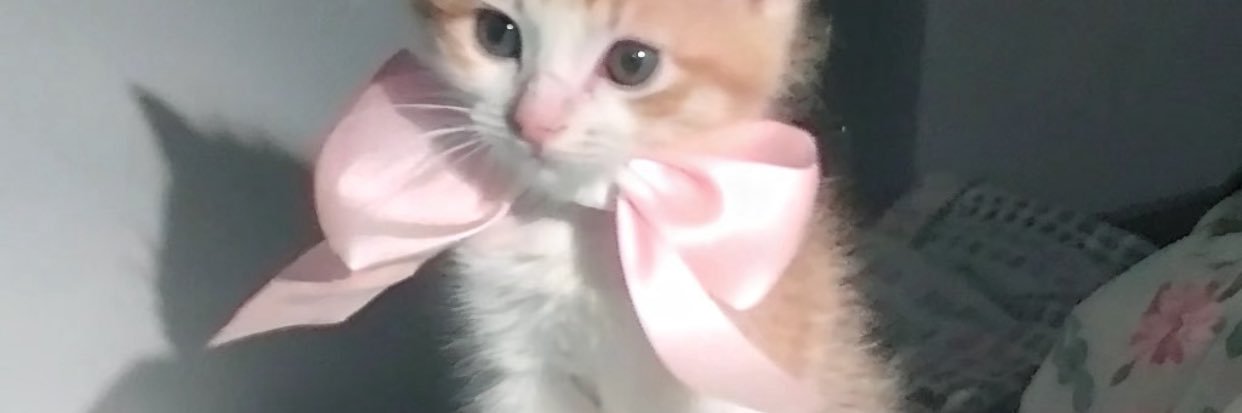 whiskeronkitty's profile banner image