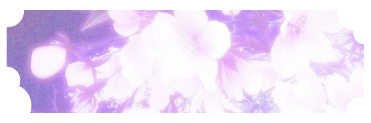 Tw1light_5's profile banner image