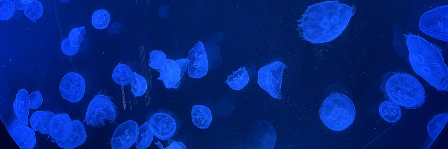 joella ˚₊ ⋆ ☠︎︎ ⋆ ₊˚'s banner