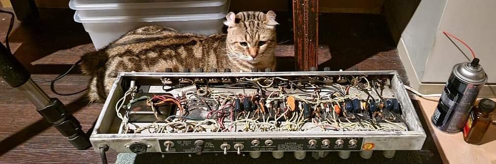 Jeff Sechelski banner