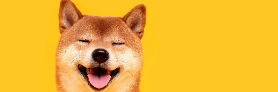 blakeamorrow's profile banner image