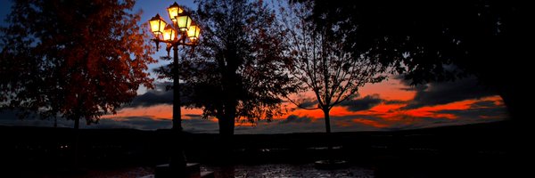 eulogio1572650 Profile Banner