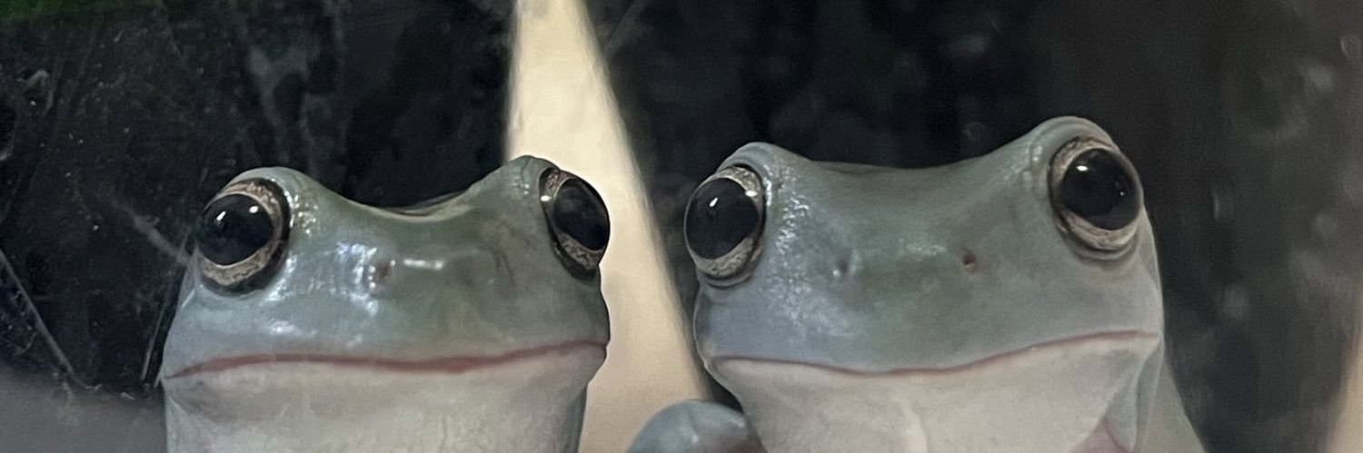 せせりーん超絶怒濤平安貴族墾田永年私財法閻魔蟋蟀薄羽蜉蝣膃肭臍襟巻蜥蜴背黄青鸚哥 banner