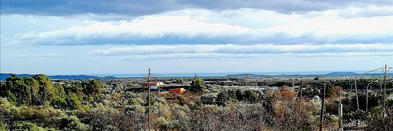 Victòria Almuni banner