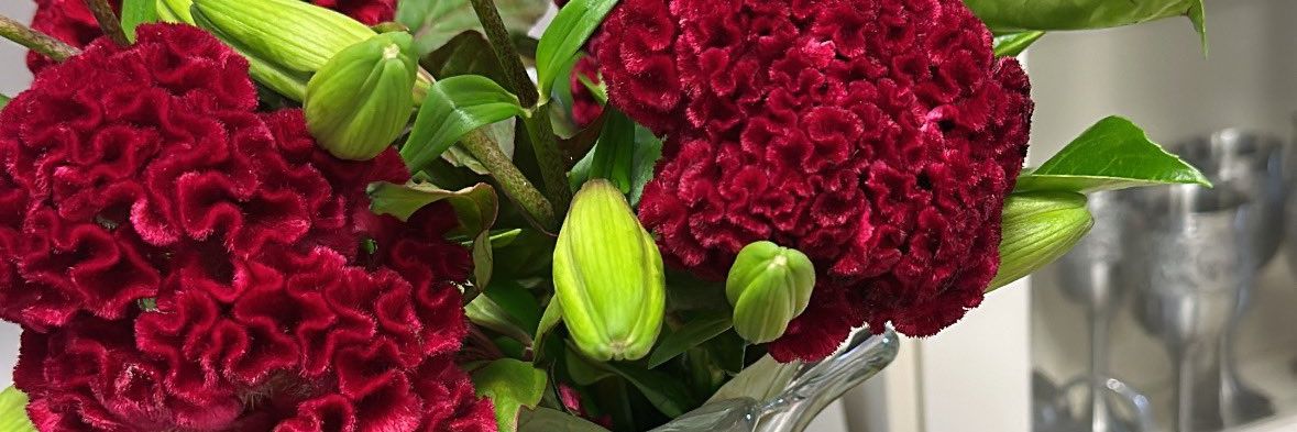 CHEPTOO SITANY CHESAMAI✨🍃 banner