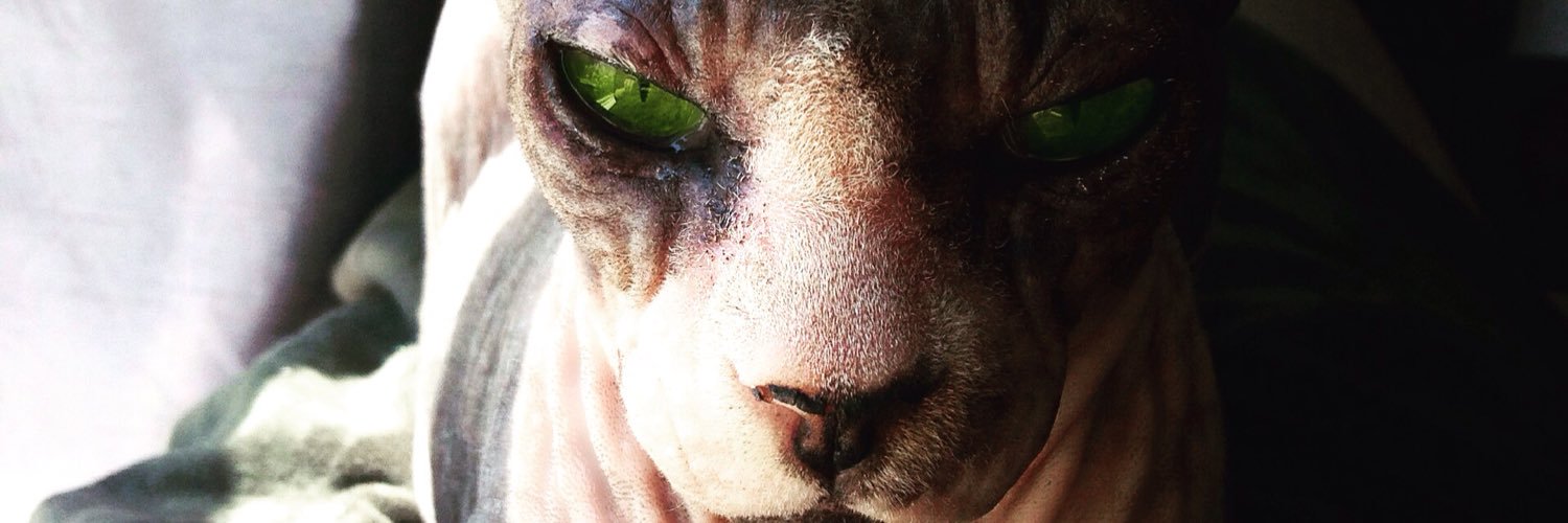 EmmaSagriff's profile banner image