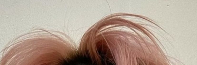 👻 banner