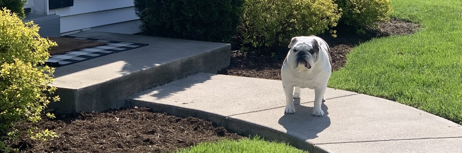 Shannon Russell banner