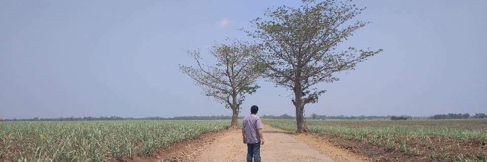 imultea's profile banner image