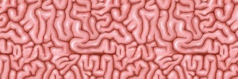 BrujoP4jas🔞 banner