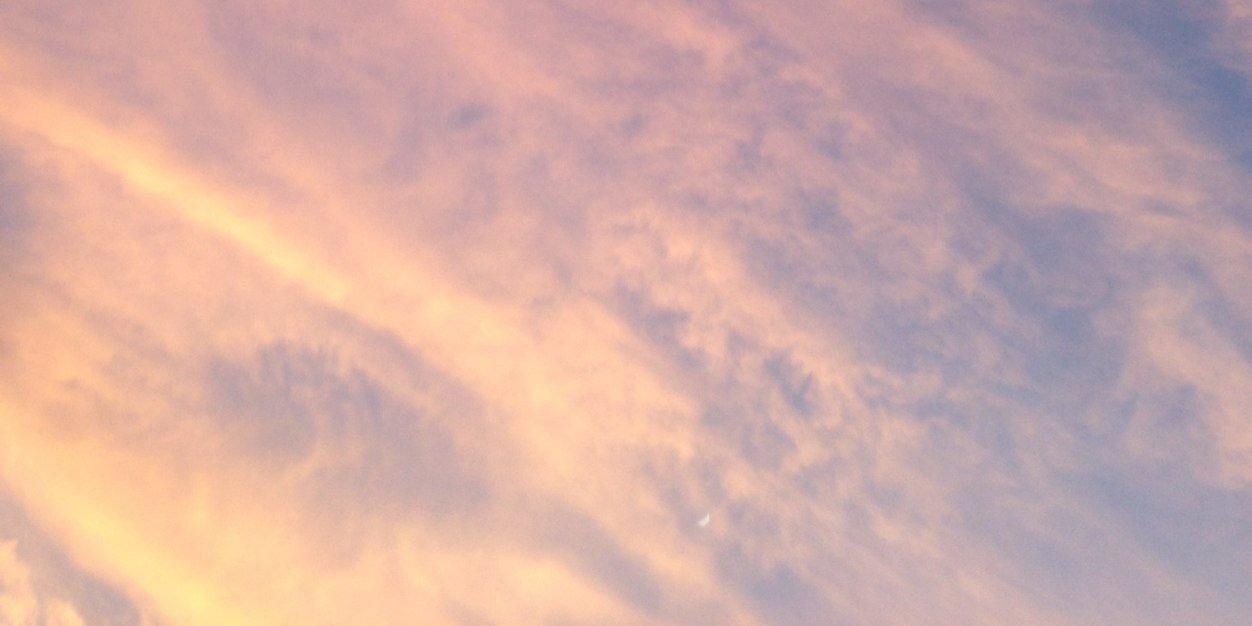 kellilyn banner