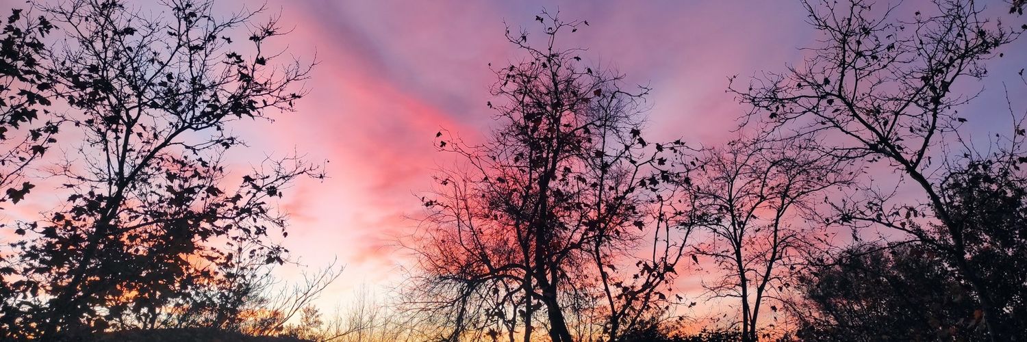 MarkitoMX's profile banner image