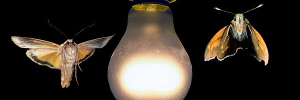 rotmura Profile Banner