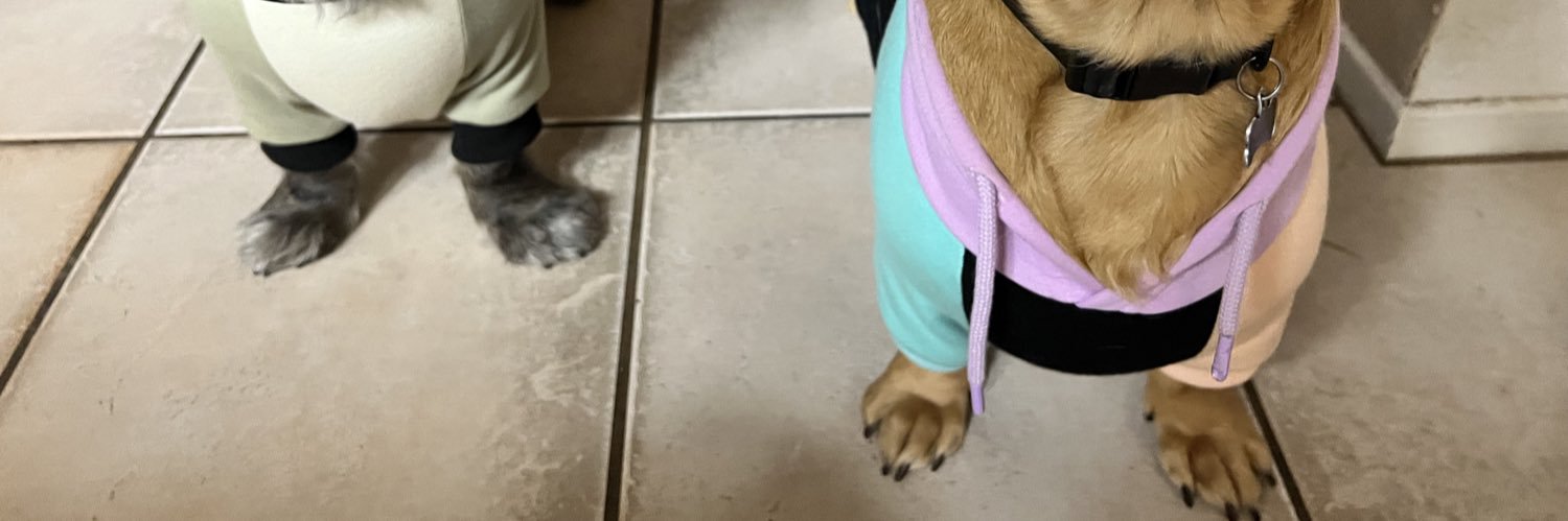 JennNoesAll's profile banner image