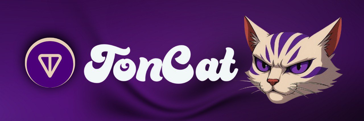 TON CAT banner