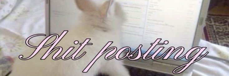 asteraliacea's profile banner image