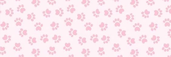 thinspo banner