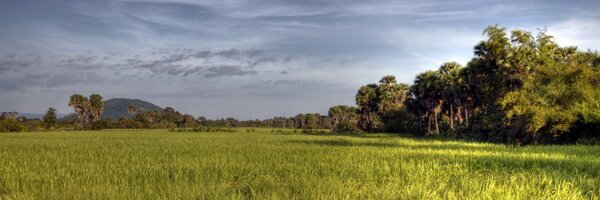 michaeldunker Profile Banner