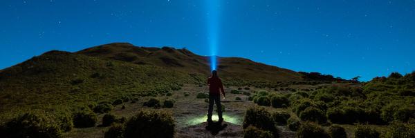 rndll Profile Banner