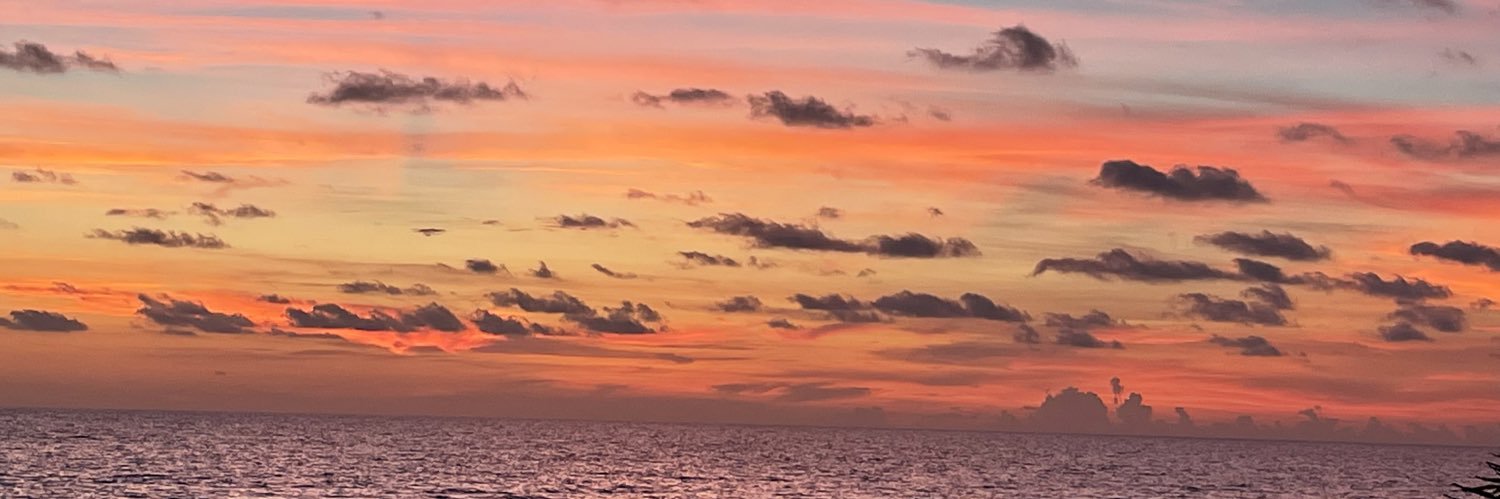 Jennifer_NoBull's profile banner image