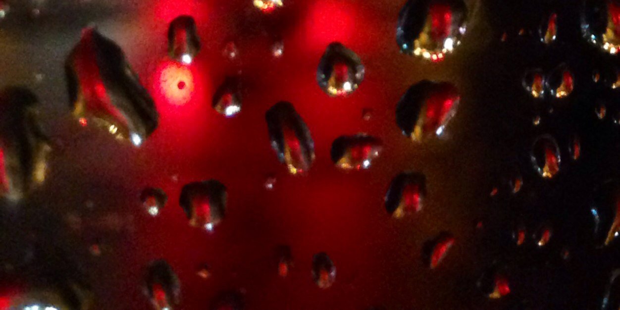 carolefishback's profile banner image