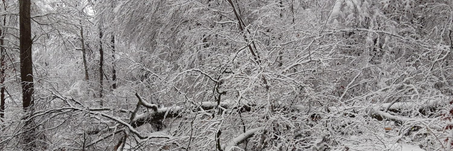 Leyla 🤍🎧 banner