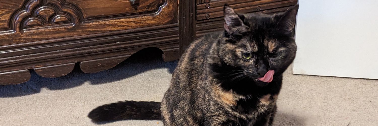 catchild's profile banner image