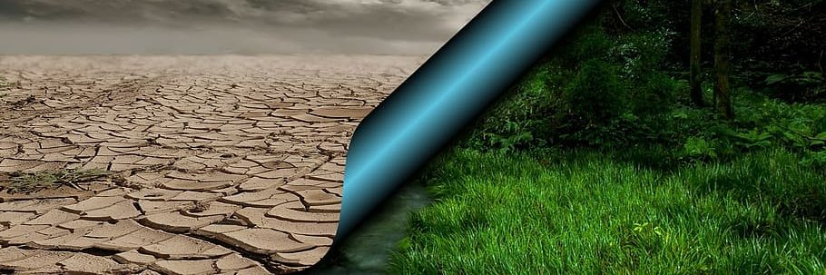 Sequoia Research banner