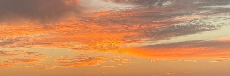 تَنجرين🍊جينجريان banner