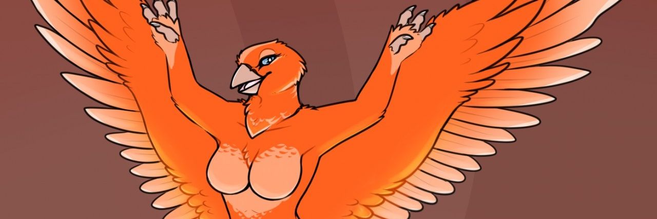Carnelia banner