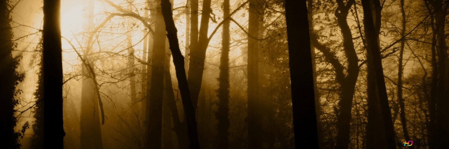 xang_'s profile banner image