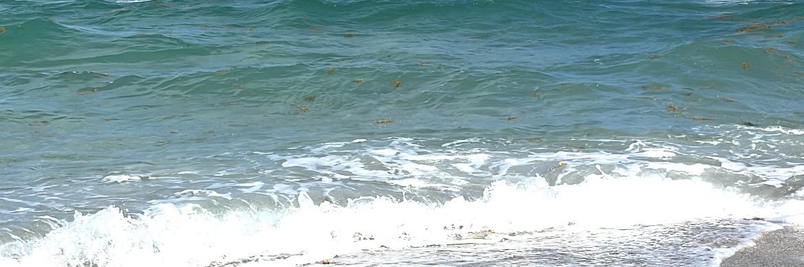 James 🌞🌴🌊 banner