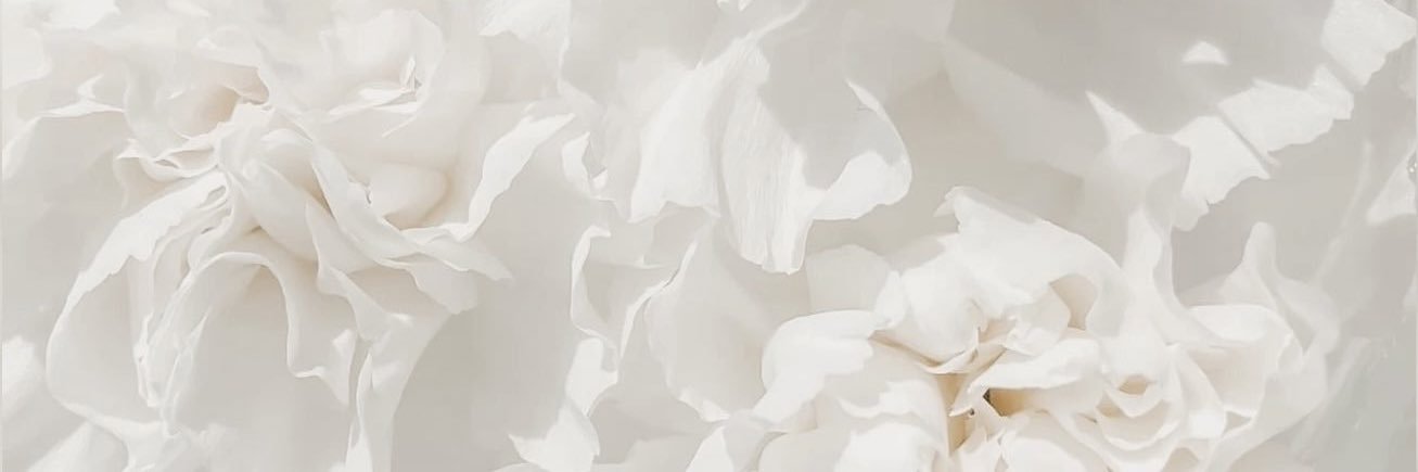 zee🏳️‍⚧️ banner