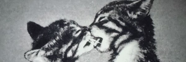 kaww4x3 Profile Banner