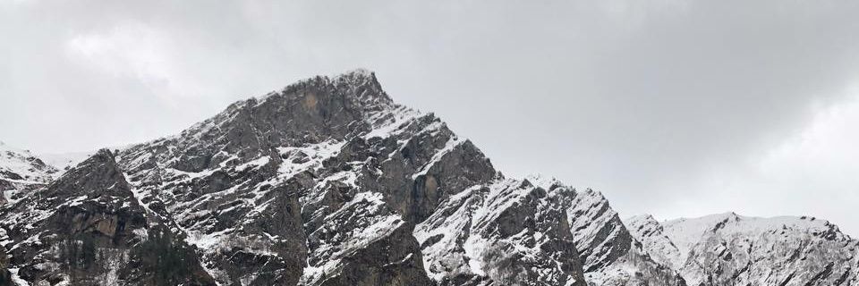 akkushri's profile banner image