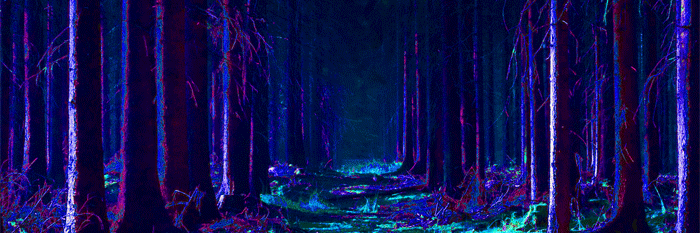 kateri_t's profile banner image
