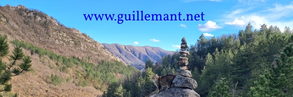 Philippe Guillemant's banner