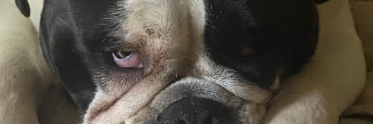JJSkroly's profile banner image