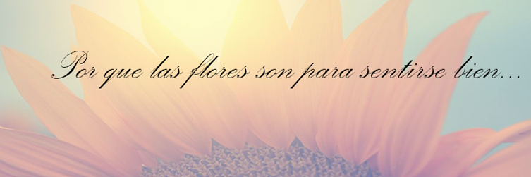 mrflowersmex's profile banner image