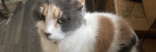 red7874 Profile Banner