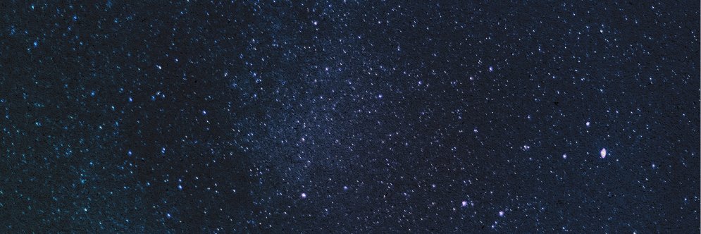 Sentient Futures's banner