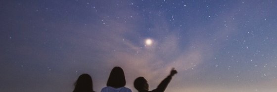 Melissa Watkins banner