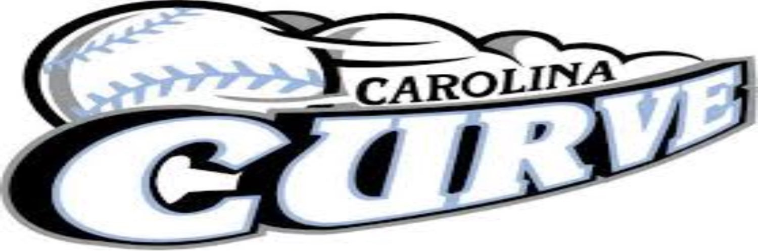 Erica Burnham banner