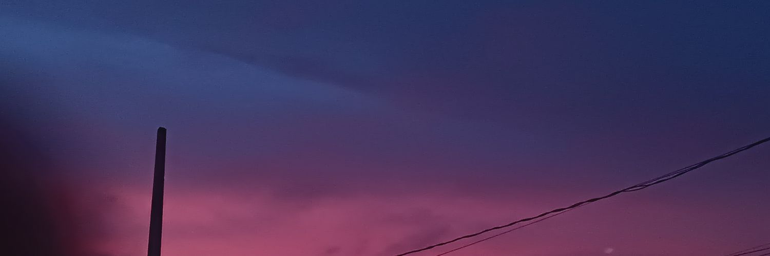 RaniOwO's profile banner image