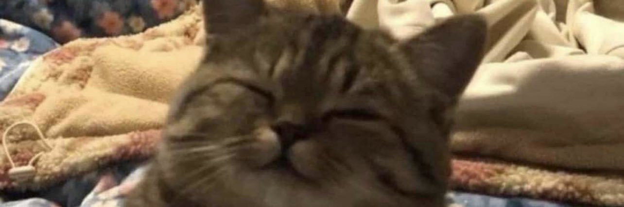 DonRamboROB's profile banner image