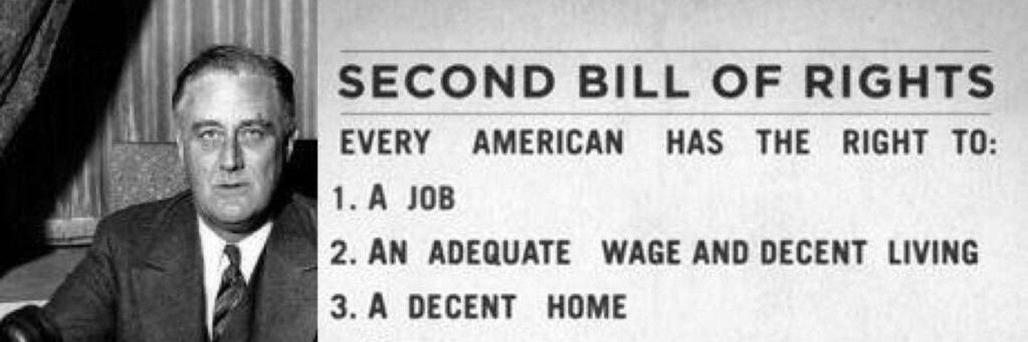 FDR Wallace Dem 🌹✊🏾🏳️‍🌈🇵🇸's banner