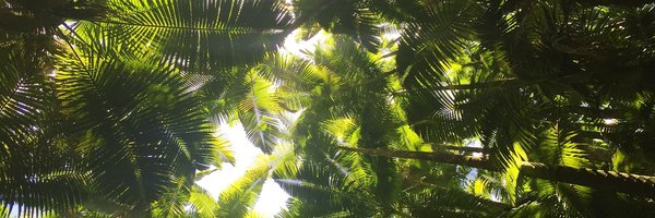 LArso1 Profile Banner