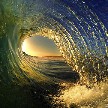 SurfBun61's profile banner image
