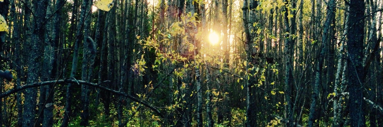 hprowse's profile banner image