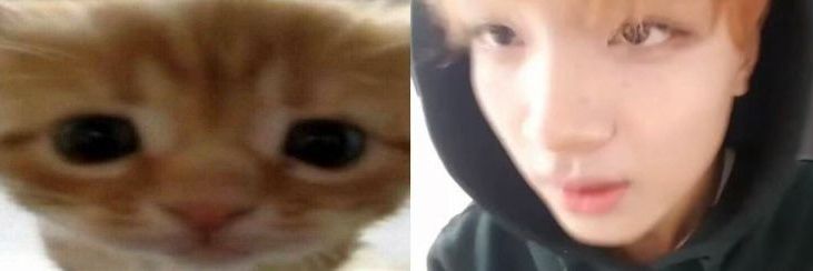 ta⭒๋𐙚 banner